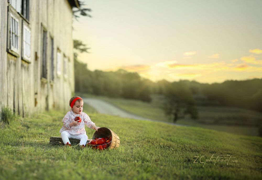 A trio of panoramic nature photos showing grassy fields at sunset with dreamy lighting and soft bokeh effects.