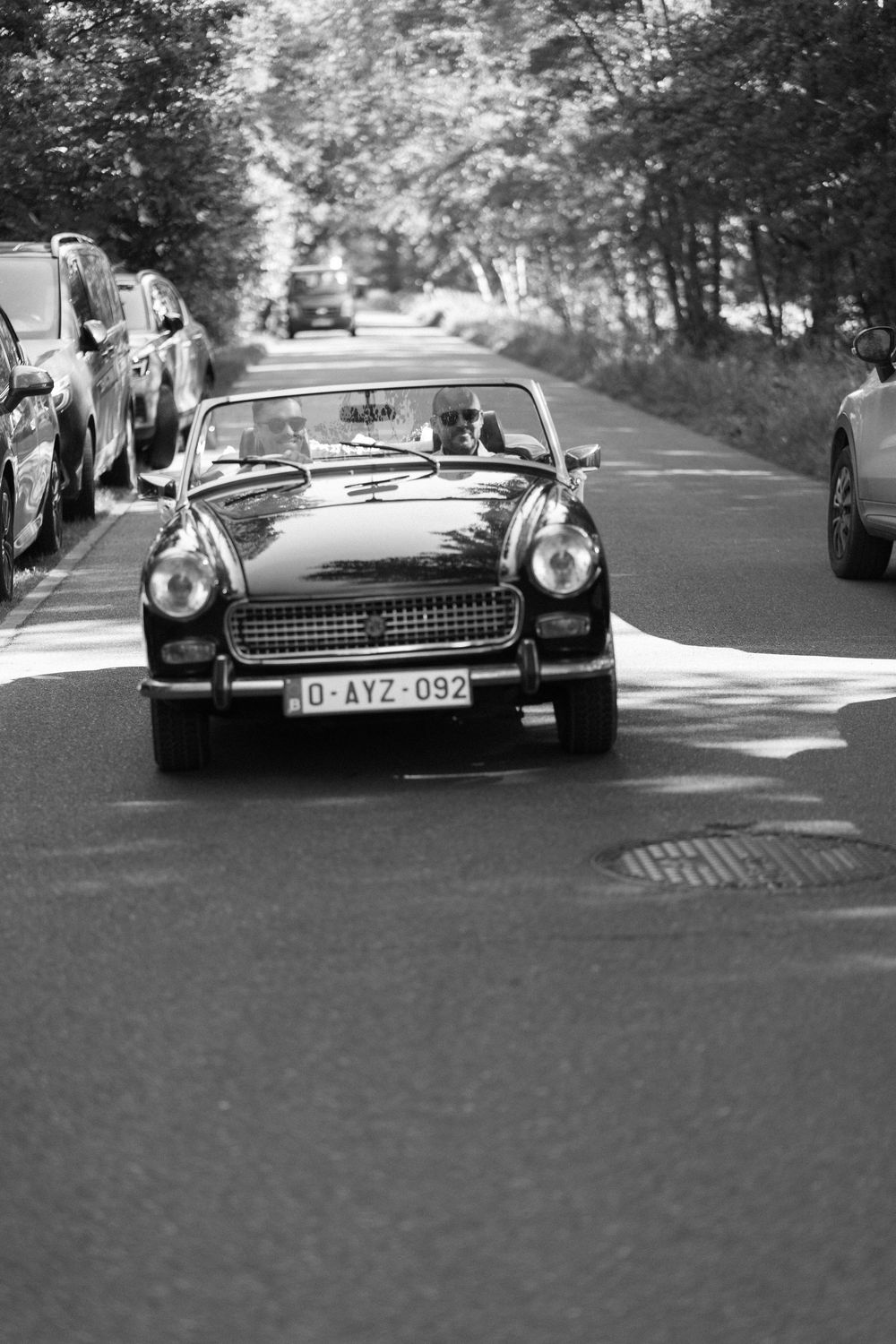 Classic vintage cars lined up on a tree-lined street in black and white photography.