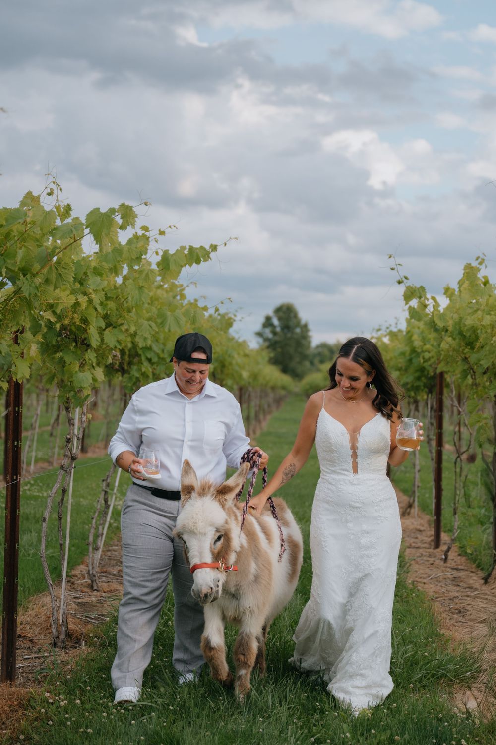 Bride in white gown walks a donkey through vineyard rows with a guest at a winery wedding celebration.