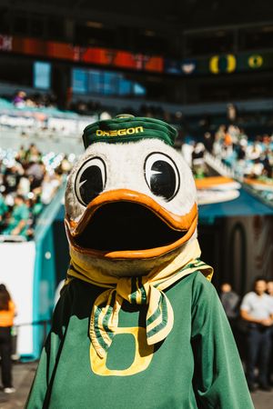 University of Oregon mascot duck head in green and yellow team colors at a stadium event.