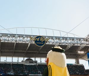Hard Rock Stadium architecture and signage viewed through beer glasses on a sunny day.