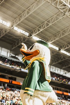 Green and white sports jerseys displayed at a stadium with crowd visible in background.