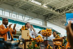 Stadium display of oranges and fruit arrangements at a sporting event.