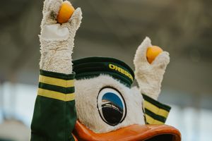 Close-up of a mascot wearing a yellow beak and green team gear.