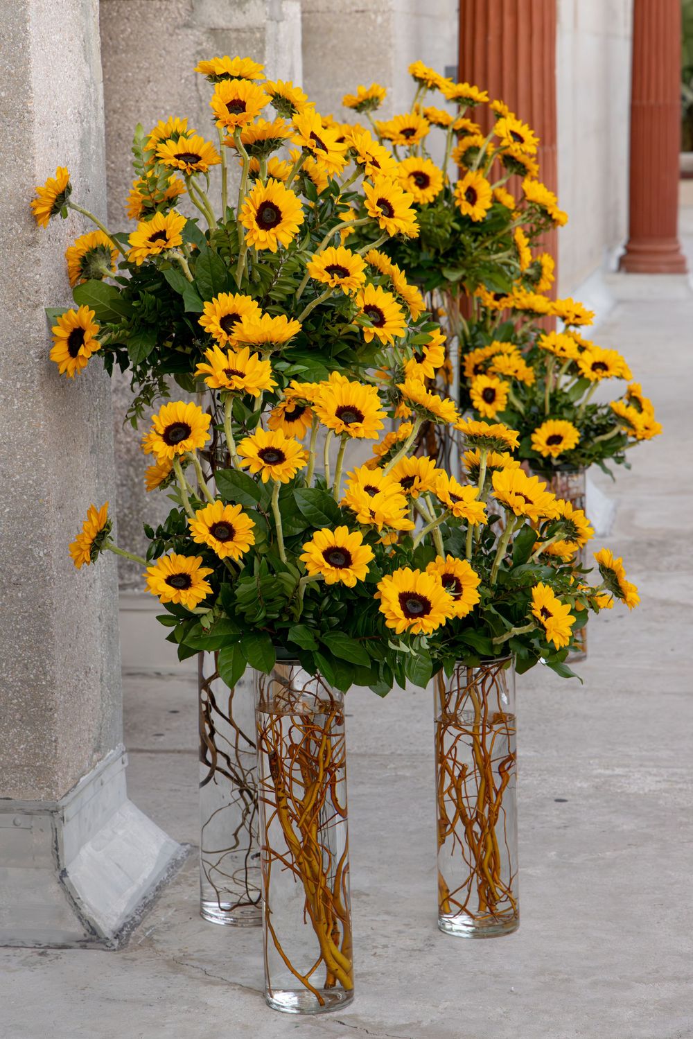Multiple glass vases filled with vibrant yellow sunflowers and curly willow branches arranged against a light colored wall.