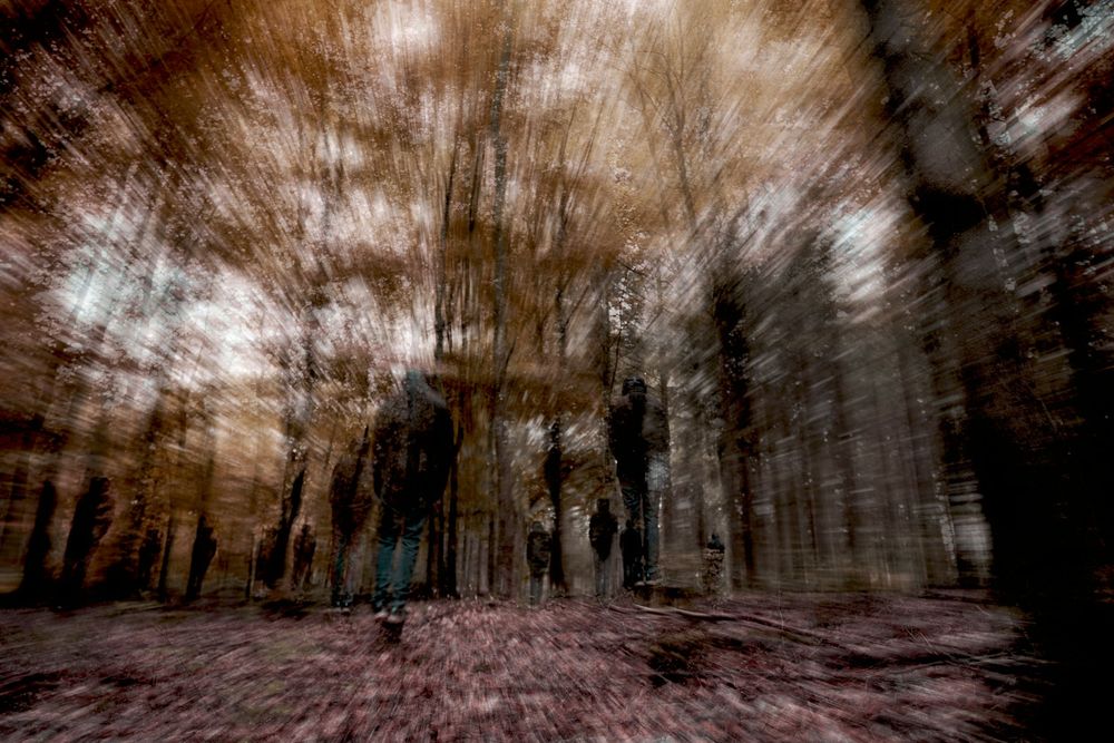 Originalt og prisbelønnet kunstfotografi af en skov hvor der står personer på træstubbe rundt i skoven. taget med adamski effekt.