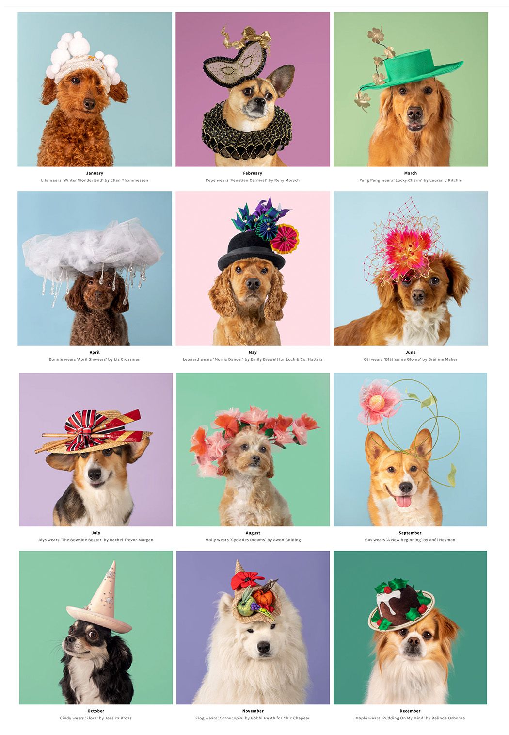 Haute Dogs calendar 2024