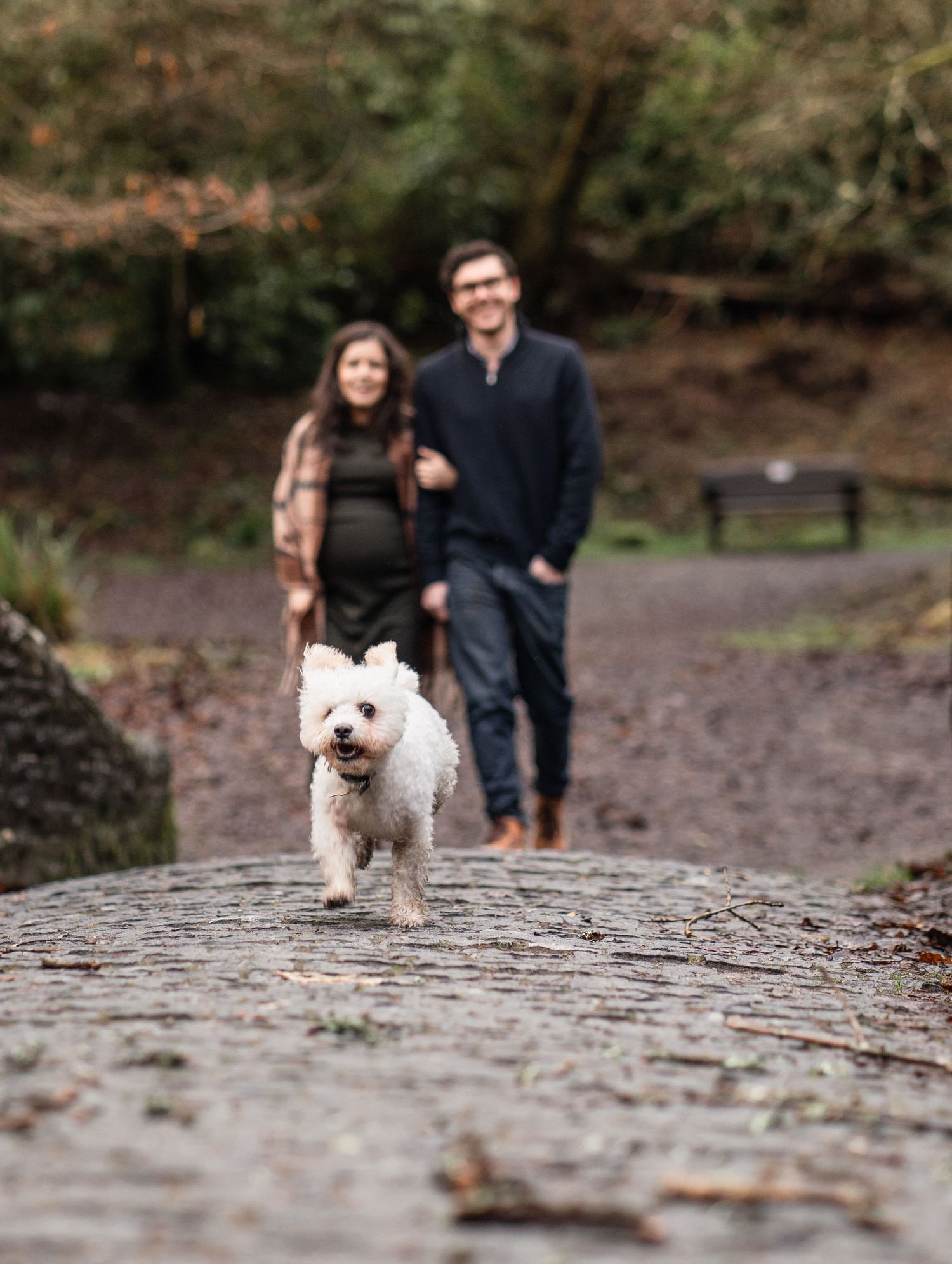 A small white dog leads the way on a forest path while a couple follows behind on an autumn day.