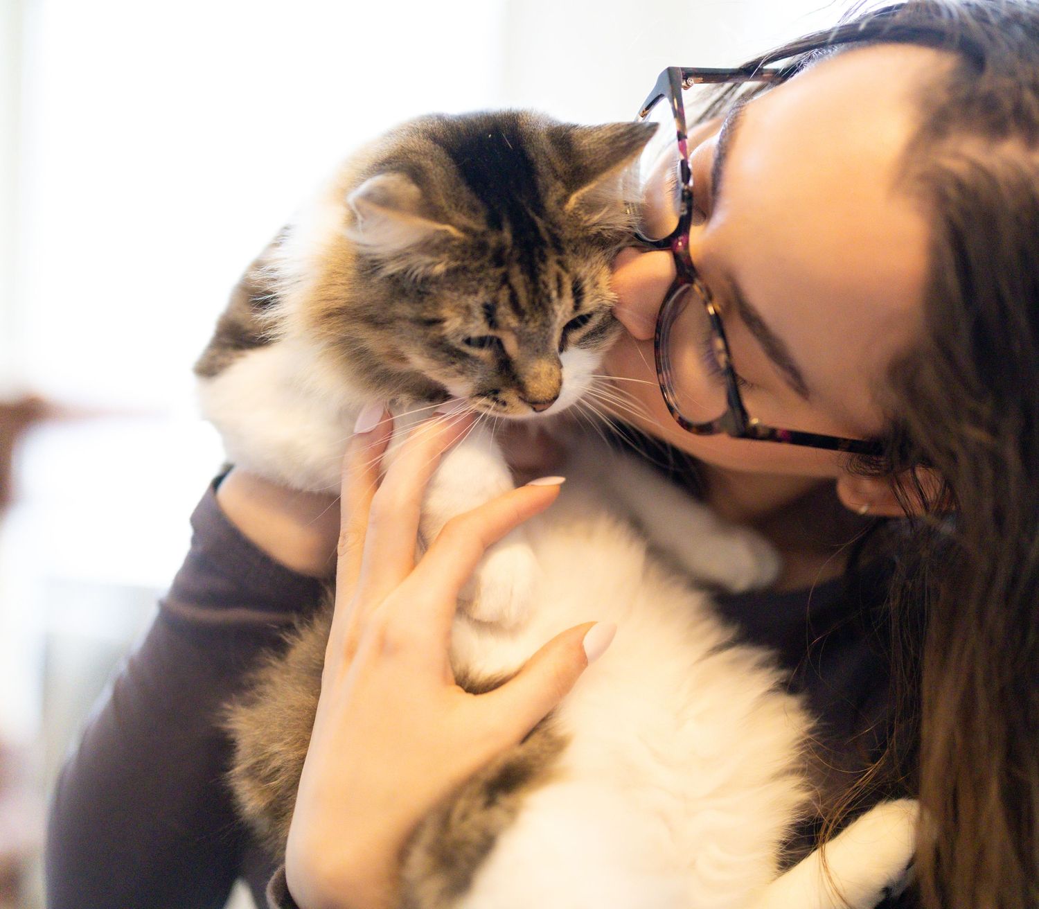 Human kissing a cat