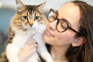 Close up of cat and her human