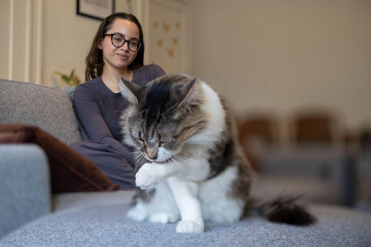 Close up of cat with her human looking over at her