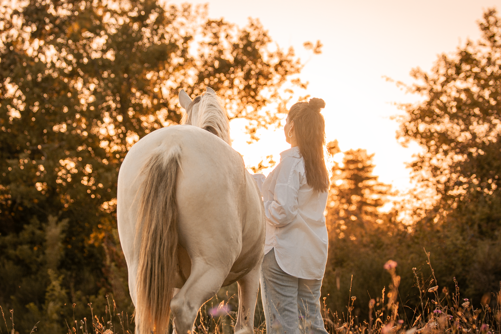 Chevaux couché de soleil femme prairie forêt