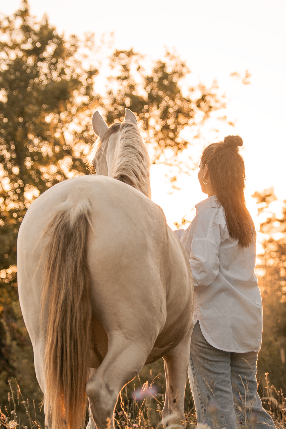 Chevaux couché de soleil femme prairie forêt