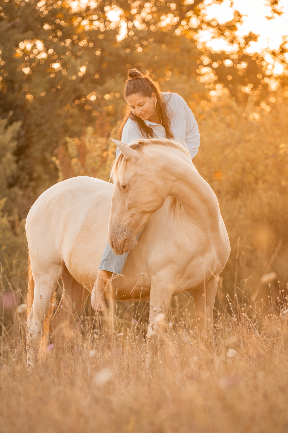 Chevaux couché de soleil femme prairie forêt
