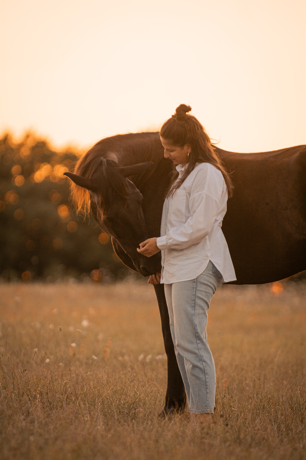 Chevaux couché de soleil femme prairie