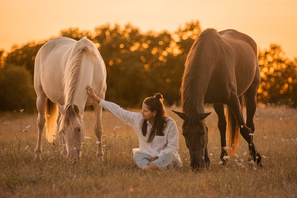Chevaux couché de soleil femme prairie