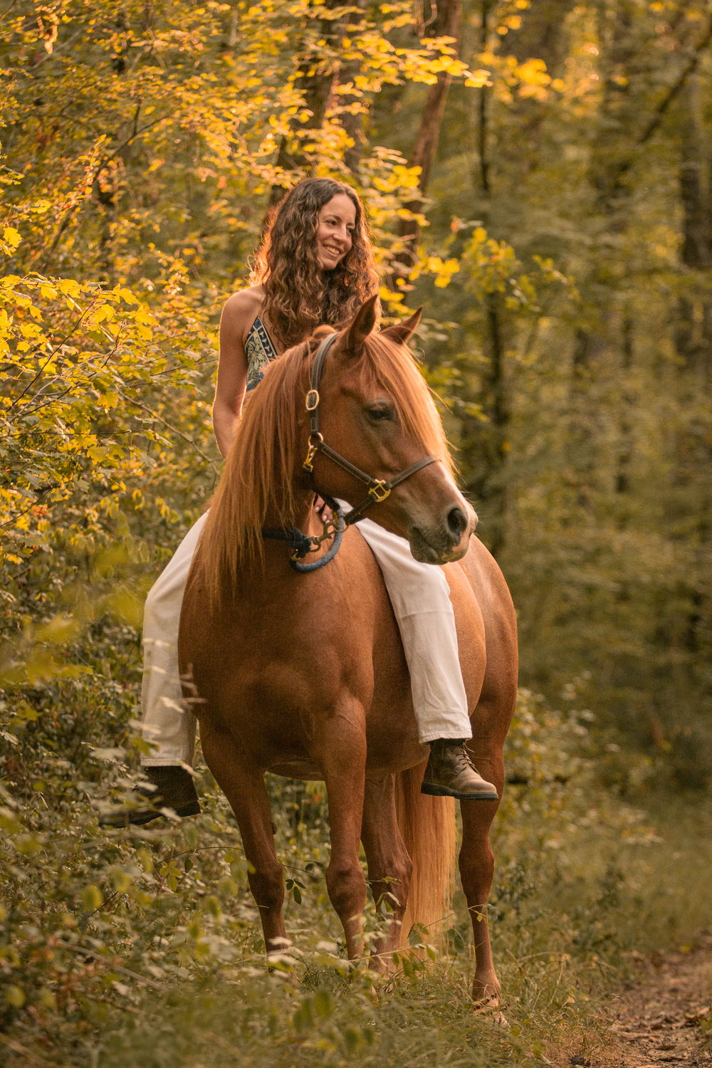 Chevaux couché de soleil femme prairie forêt
