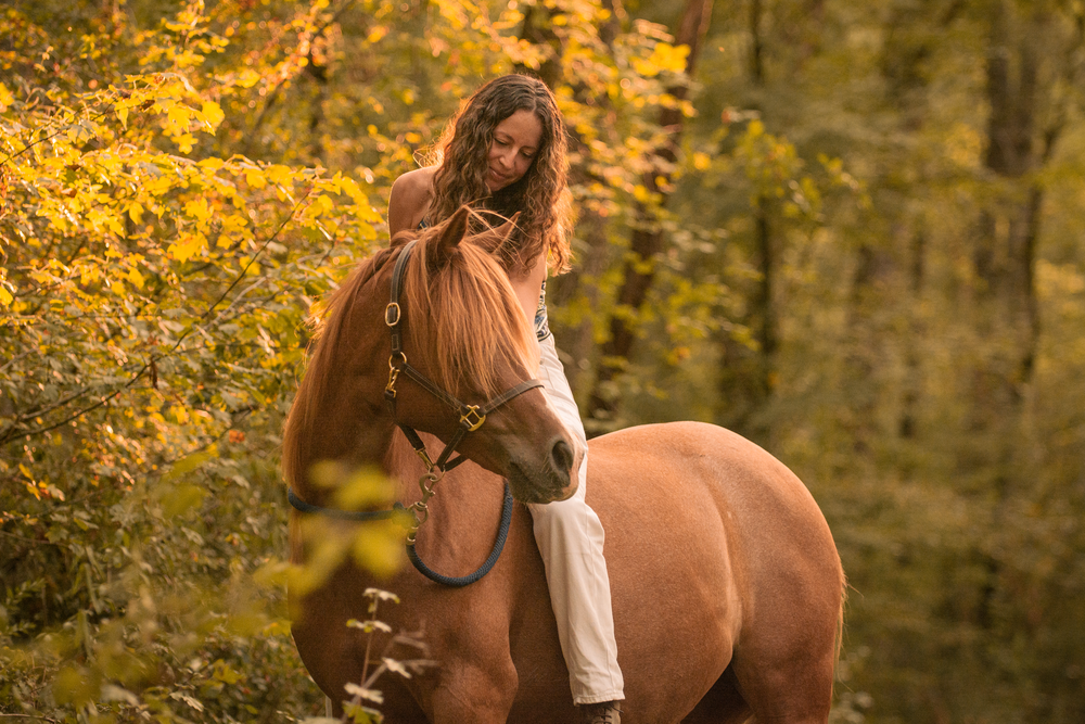 Chevaux couché de soleil femme prairie forêt