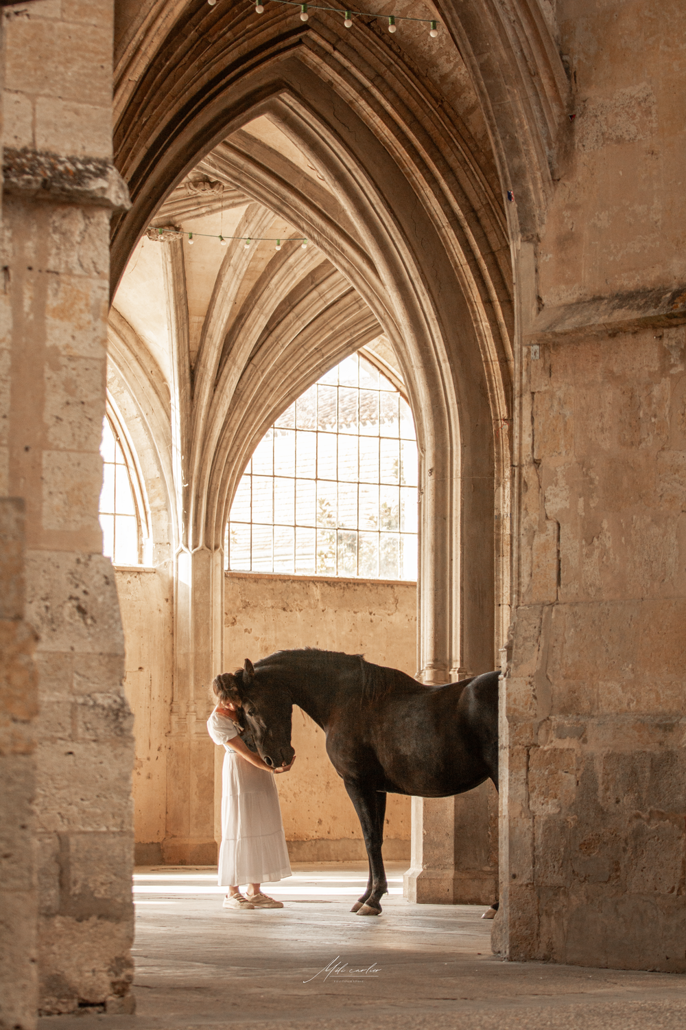 photographie cheval cloître lumière femme
