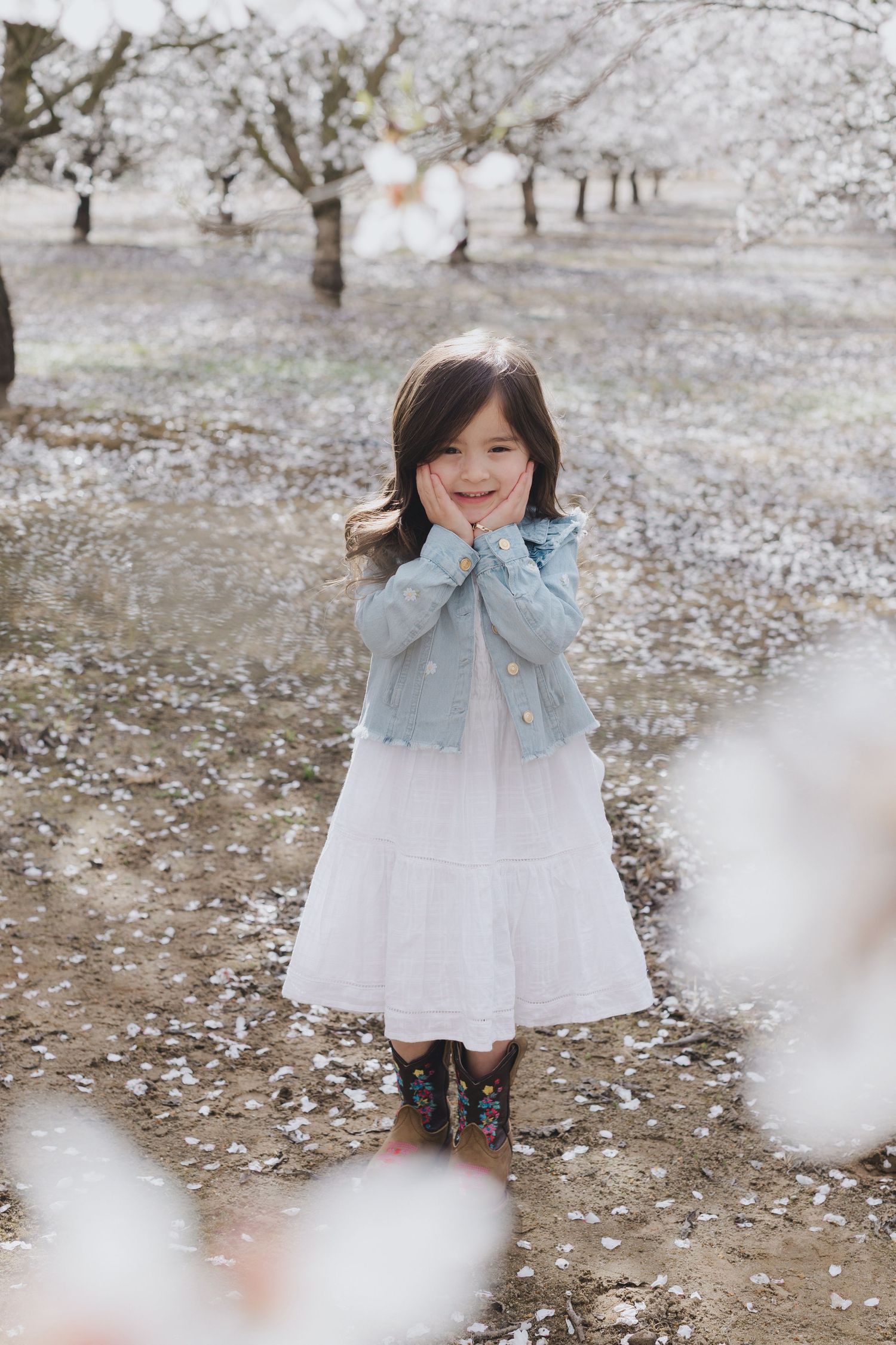 A child in a white dress and denim jacket stands among scattered cherry blossom petals on a spring day. Almond Blossom Mini Session 2026