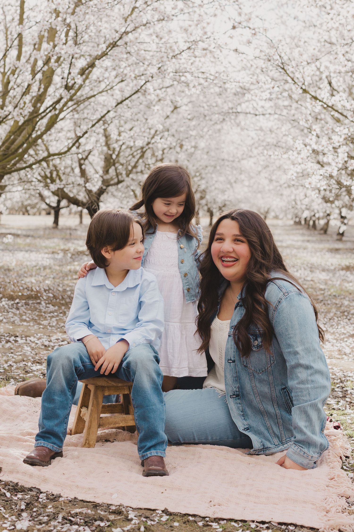 People enjoying a spring picnic under blooming cherry blossom trees on a peaceful afternoon.  Almond Blossom Mini Session 2026