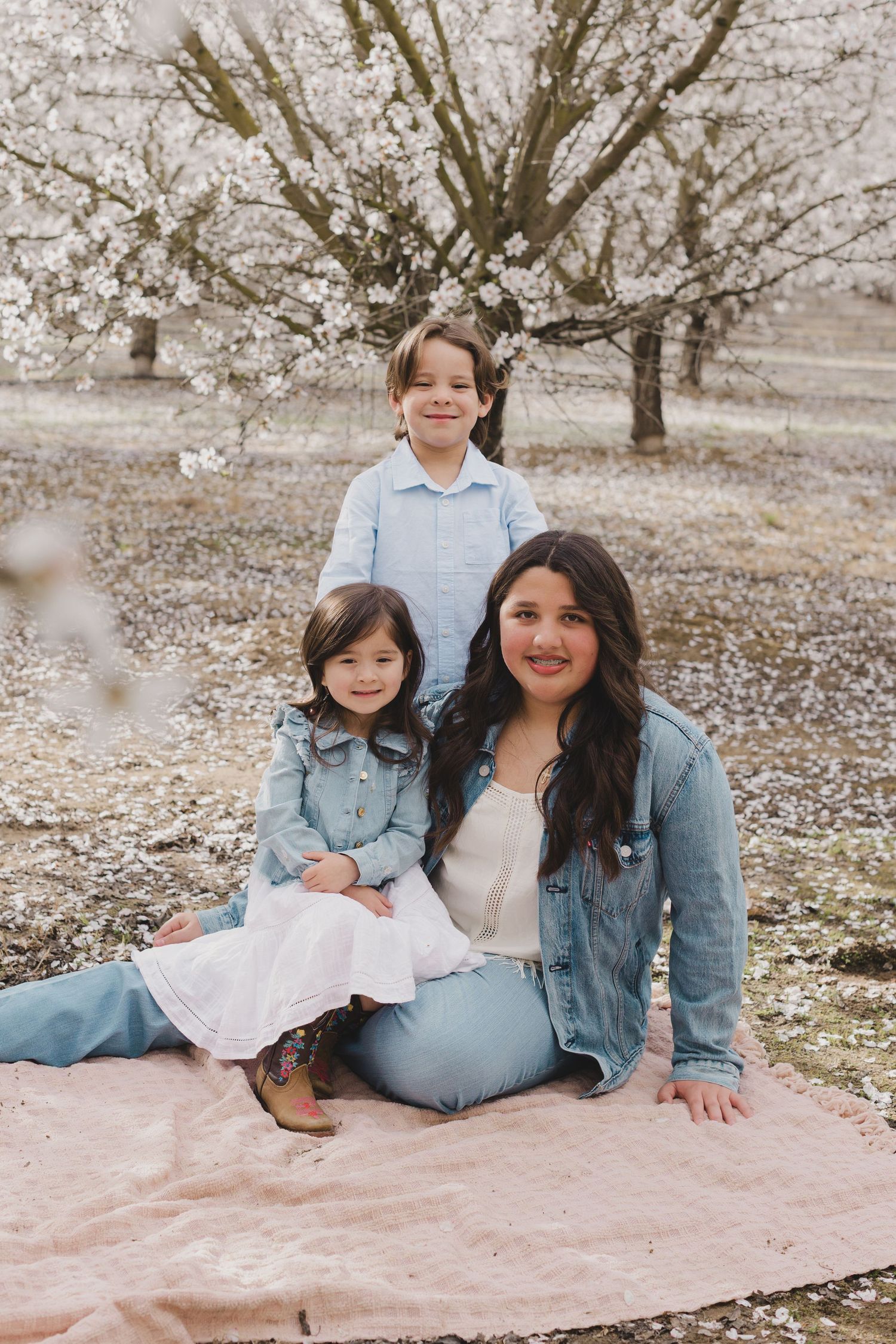 A family sits together on a pink blanket under blooming almond trees during a spring photo session.  Almond Blossom Mini Session Turlock