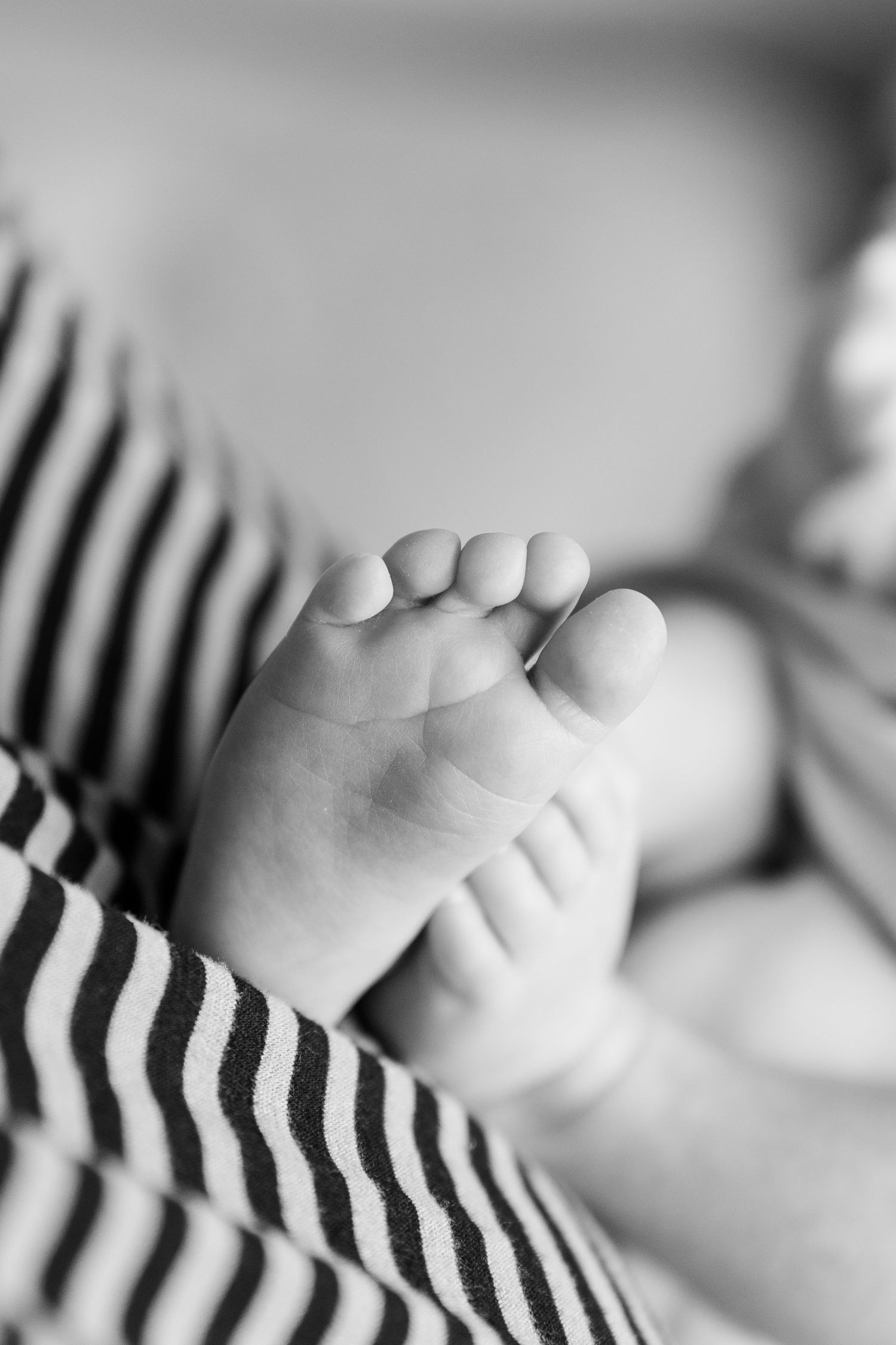b&w close up of baby toes