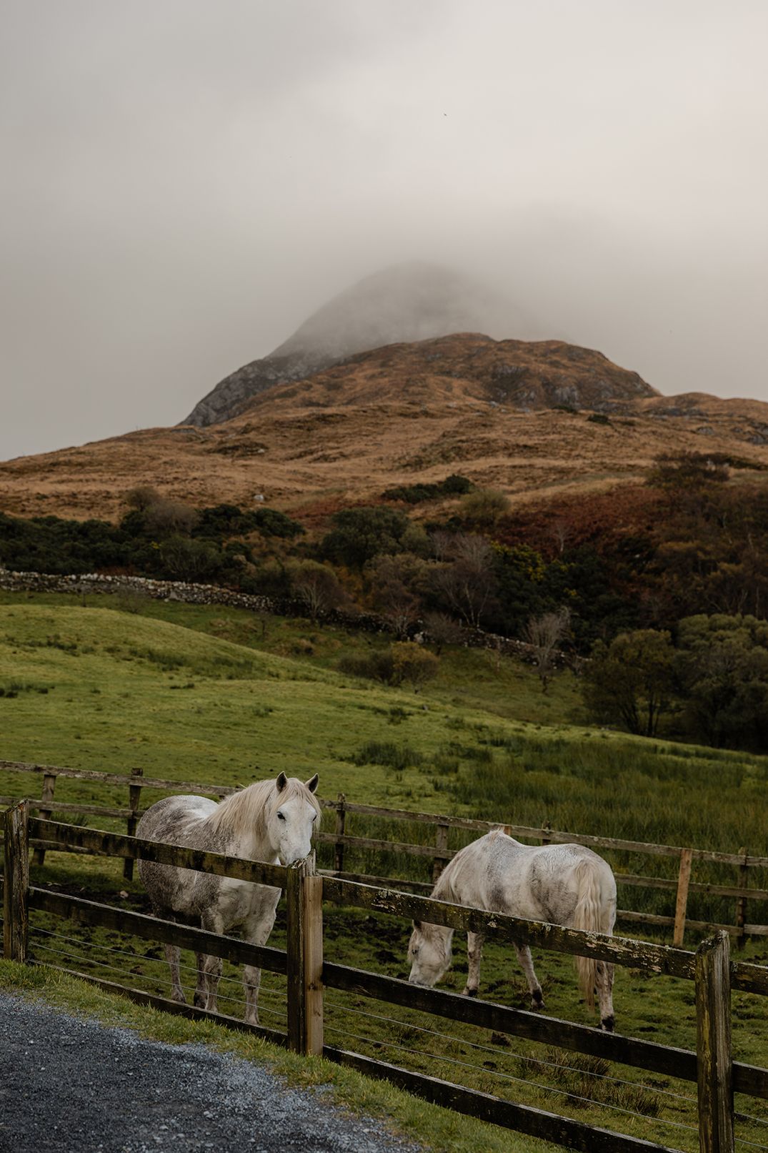 Moody mountain couple photos on
Diamond Hill in Connemara National park