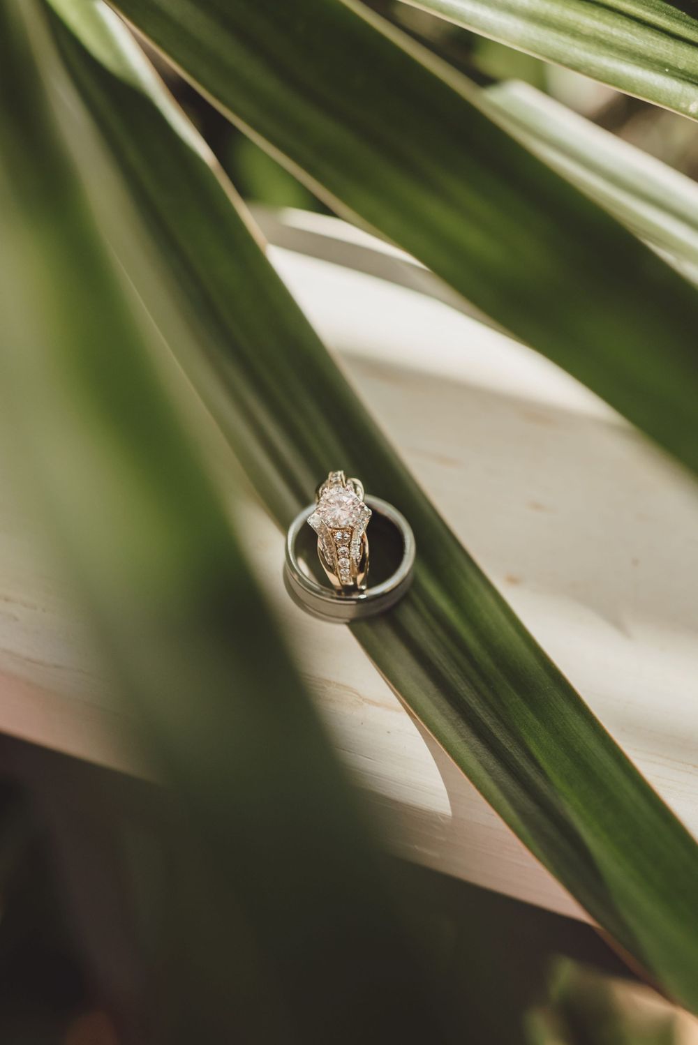 A diamond engagement ring sparkles elegantly against green palm fronds in a soft-focus macro photograph.