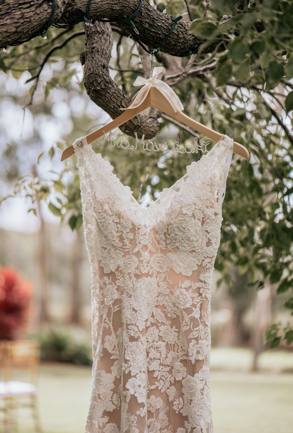 Intricate lace wedding dress hanging from a tree branch in natural outdoor setting.