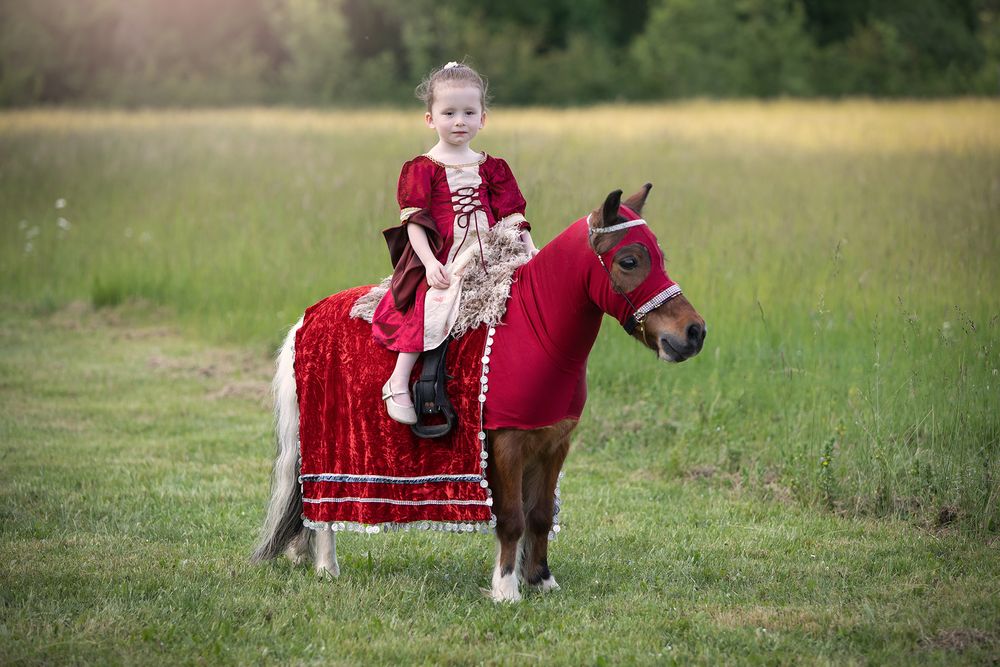 princess pony photography
