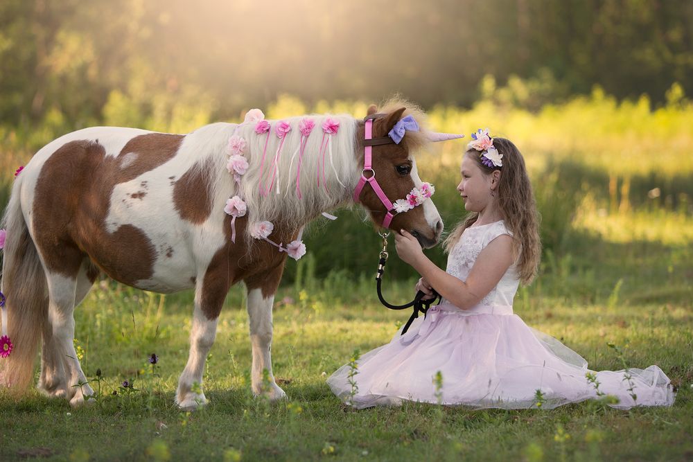 Princess Pony