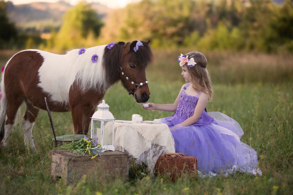 Princess Pony