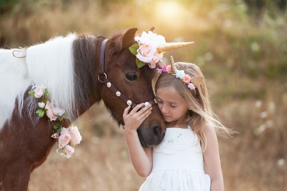 Princess Pony