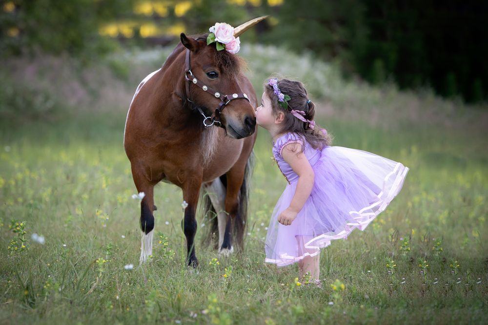 Princess Pony