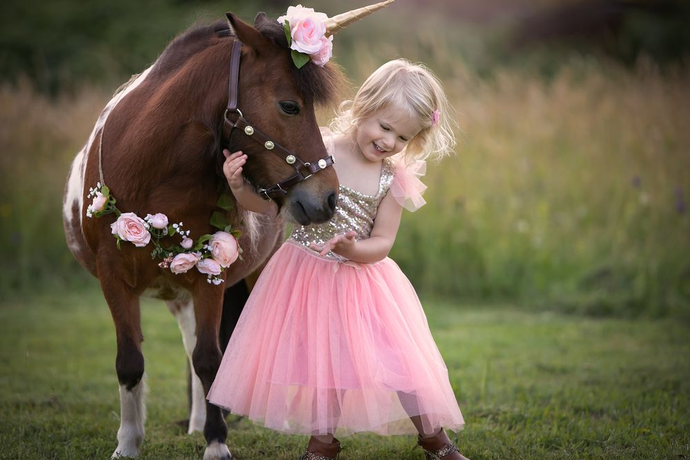 Princess Pony