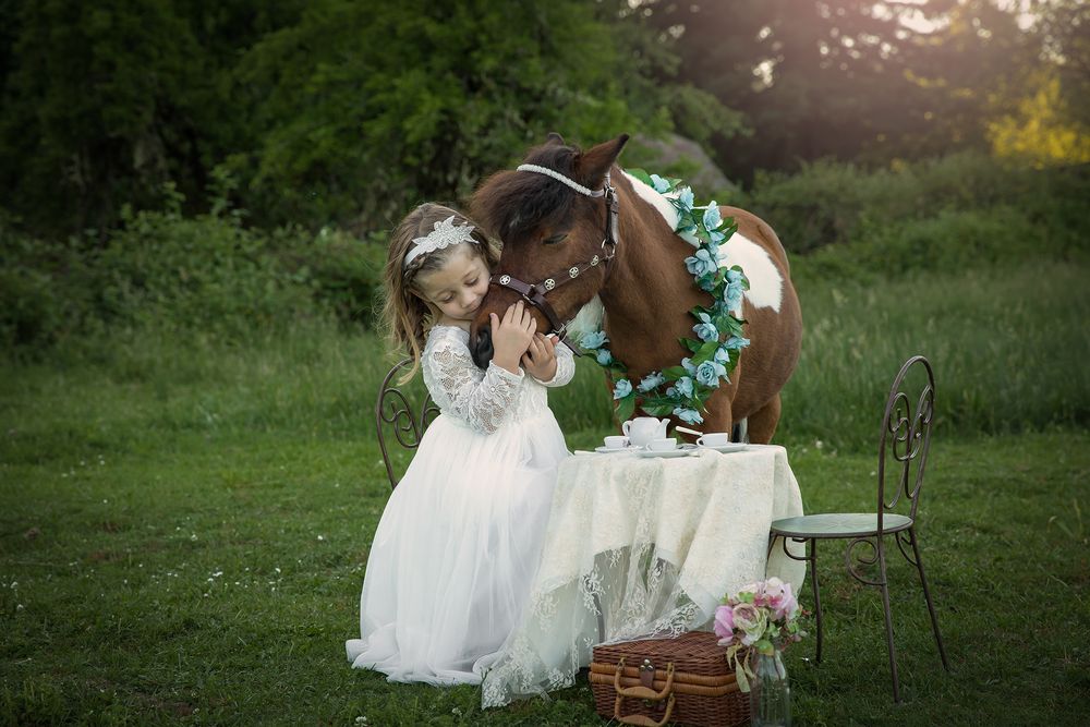 Princess Pony
