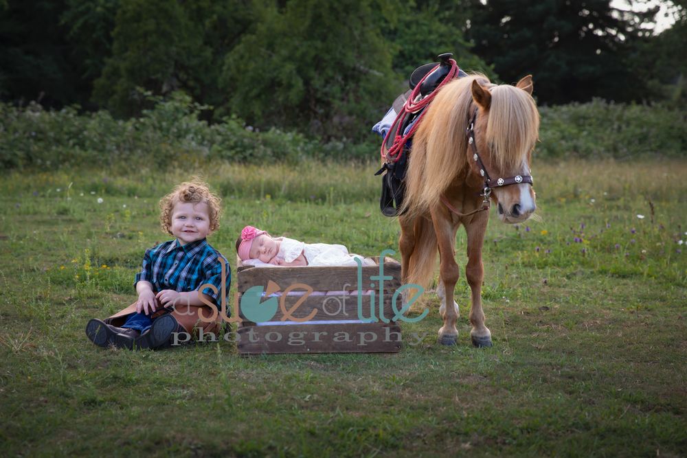 princess pony photography