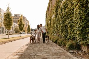A panoramic view of a cobblestone alley with ivy-covered walls and people walking in the distance.