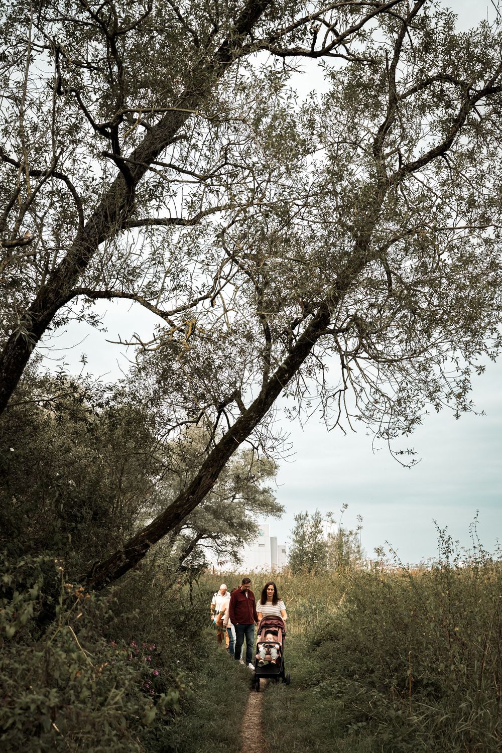 People walking along a tree-lined path through nature, captured in a series of connected landscape photographs.