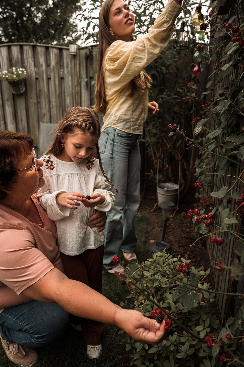 Four connected photos showing people tending to plants in a garden with a wooden fence backdrop.
