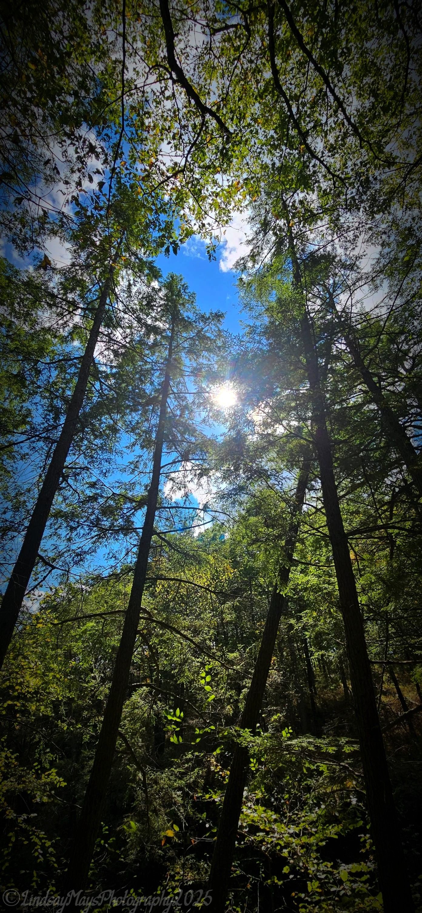 Mother Nature