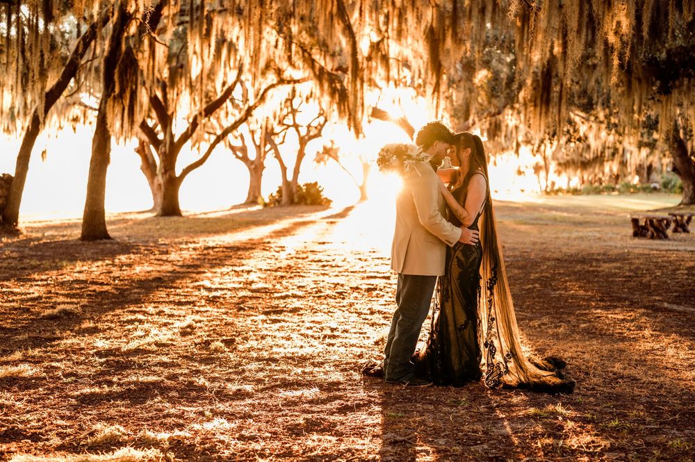 Sunlit forest path with golden light filtering through trees creating a warm ethereal atmosphere.