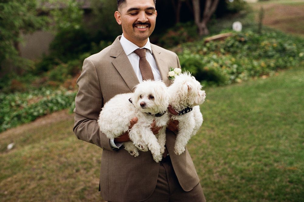 Groom in tan suit holds two white fluffy dogs outdoors at wedding ceremony.