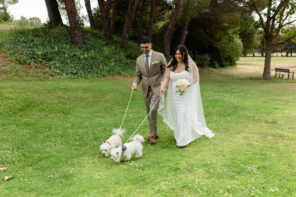 Bride and groom walking two white fluffy dogs on leashes in a lush green park on their wedding day.