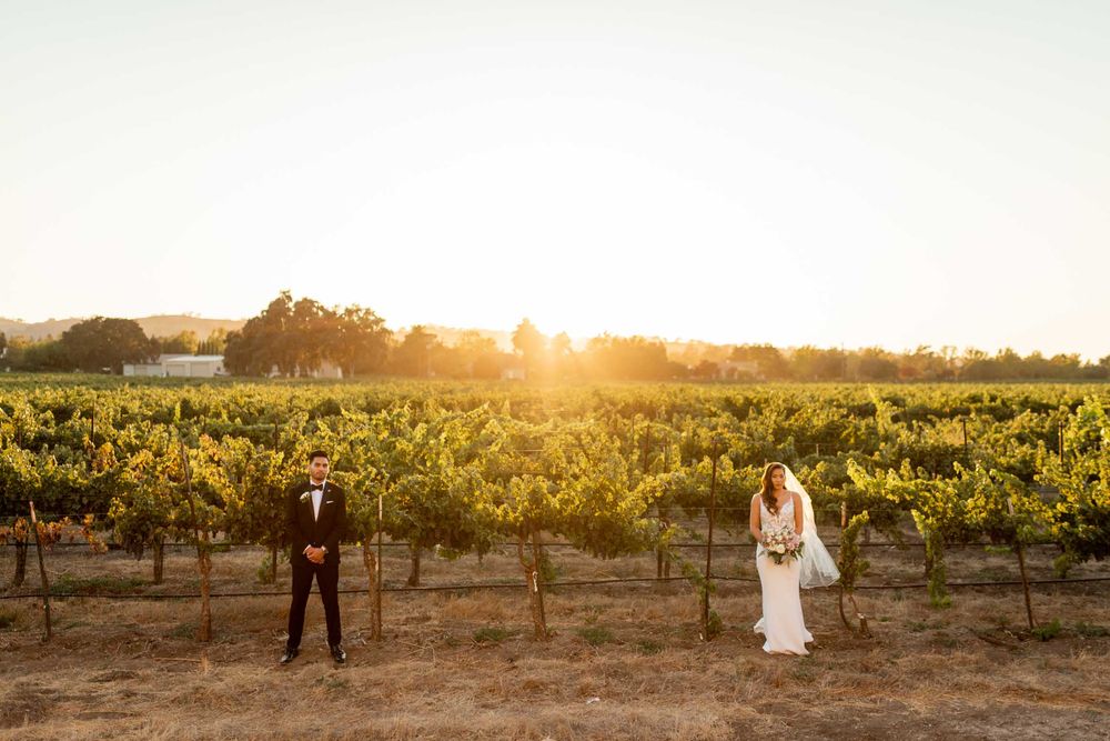 Panoramic sunset view over a vineyard with golden sunlight filtering through grapevines in wine country.