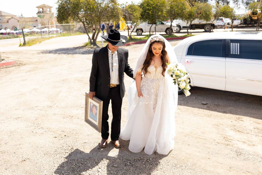 Wedding party posing together outdoors near a white limousine on a sunny day.