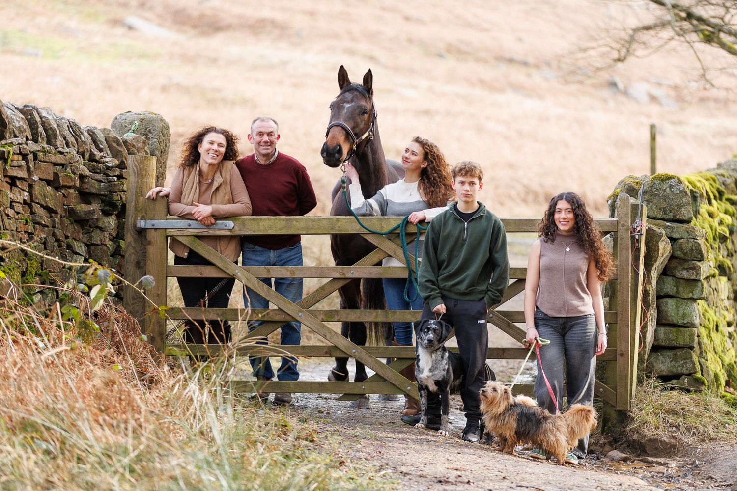 A series of seven photos showing a white horse and rider interacting at a wooden fence in an outdoor setting.