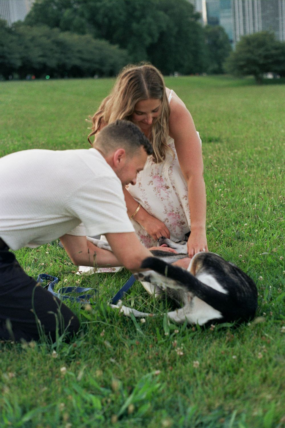 Couple petting a black and white dog on green grass in a park with city buildings in the background.