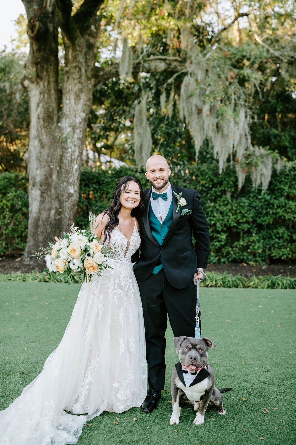 Wedding couple poses with their grey dog on grassy lawn with Spanish moss draped trees in background.